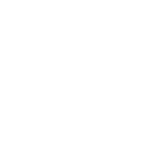 paulie store